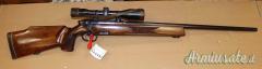 Steyr Mannlicher L Cal. 243W con Ottica