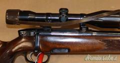 Steyr Mannlicher L Cal. 243W con Ottica