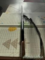 Benelli Duca di montefeltro 12