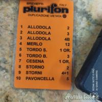 PLURIFON A SCHEDA CON TELECOMANDO