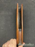 Astina Franchi. AL 48