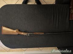 Doppietta cani esterni bernardelli