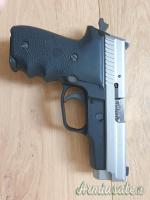 SIG-Sauer P229 .40 Smith & Wesson | Auto  |  10 x 21 mm