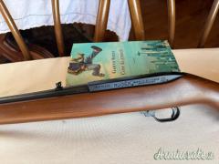 Ruger | Sturm 10/22 .22 Long Rifle