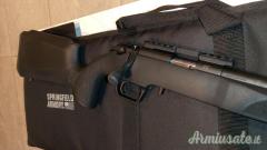 Springfield 2020 .22 Long Rifle