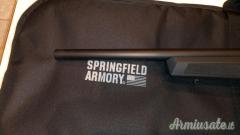 Springfield 2020 .22 Long Rifle