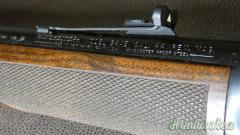Winchester 94 AE .44 Remington Magnum