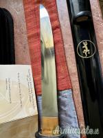 Citadel imperial tanto