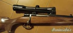FFV .243 Winchester