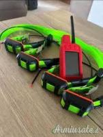 Garmin Alpha 300 Pack + 4 collari TT25