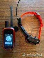 Garmin Alpha 100 e Mini Collare TT15 (USATI)