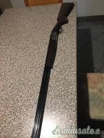 Sovrapposto FAIR 410