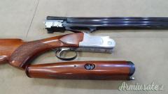Rizzini omnium 20
