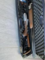 Zoli Antonio DELFINO 12