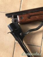 Accuracy Arizona Kid 4.5/.177