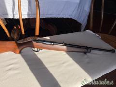 Ruger | Sturm 10/22 .22 Long Rifle