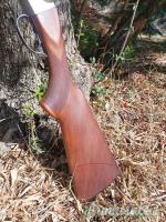 Zoli Antonio Ariete 12