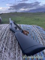 Benelli M2 12