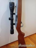 Ruger | Sturm 10/22 inox .22 Long Rifle