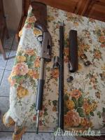 Beretta Greystone  12