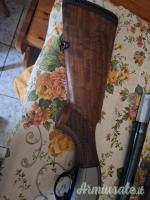 Beretta Greystone  12