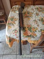 Beretta Greystone  12