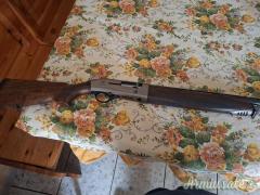 Beretta Greystone  12