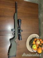 Diana R22 Carbon  .22 Long Rifle