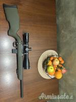 Diana R22 Carbon  .22 Long Rifle