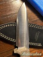 LIONSTEEL T5