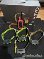 Garmin Atemos 100 con 4 collari