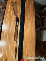 Beretta A300 magnum  12