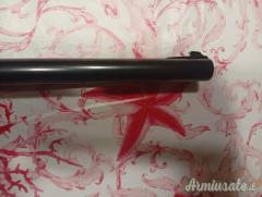 Franchi AL48 calibro 12