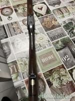 Bernardelli Hemingway  12