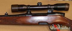 Steyr Mannlicher M Cal. 270W con Ottica