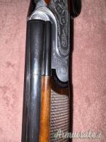 Rizzini Artemis  20