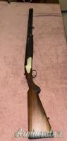 Rizzini Artemis  20