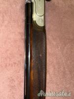 Rizzini Artemis  20