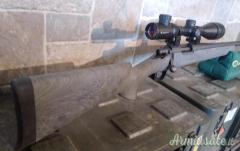 Remington Sps .308 Winchester