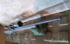 Remington Sps .308 Winchester