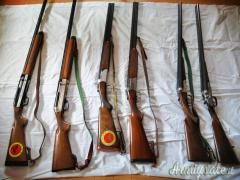 vendo fucili cal 12 + pistola