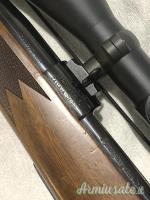 Remington 798 .270 Winchester