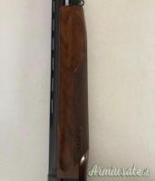 Benelli Raffaello 12