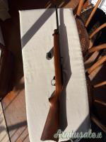 Ruger | Sturm 10/22 .22 Long Rifle