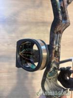 arco compound bear done deal