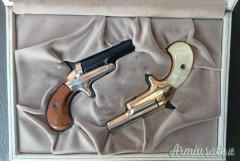 Colt Lady Derringer .22 Short