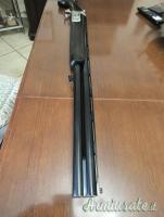 ...Altro | Non elencato Bettinzoli  12