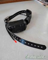 In vendita un dispositivo portatile Garmin Pro 550 Plus e un mini collare TT15