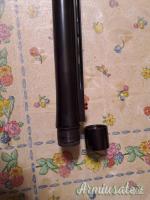 Benelli Raffaello 12