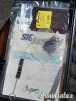 SIG-Sauer 1911 .22 LR Long Rifle